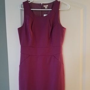 J crew NWT dress
